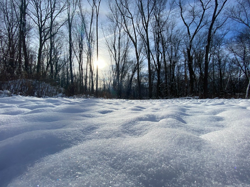 Sun reflecting on the snow