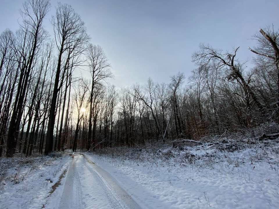 Sunrise through the trees onto a snowy trail