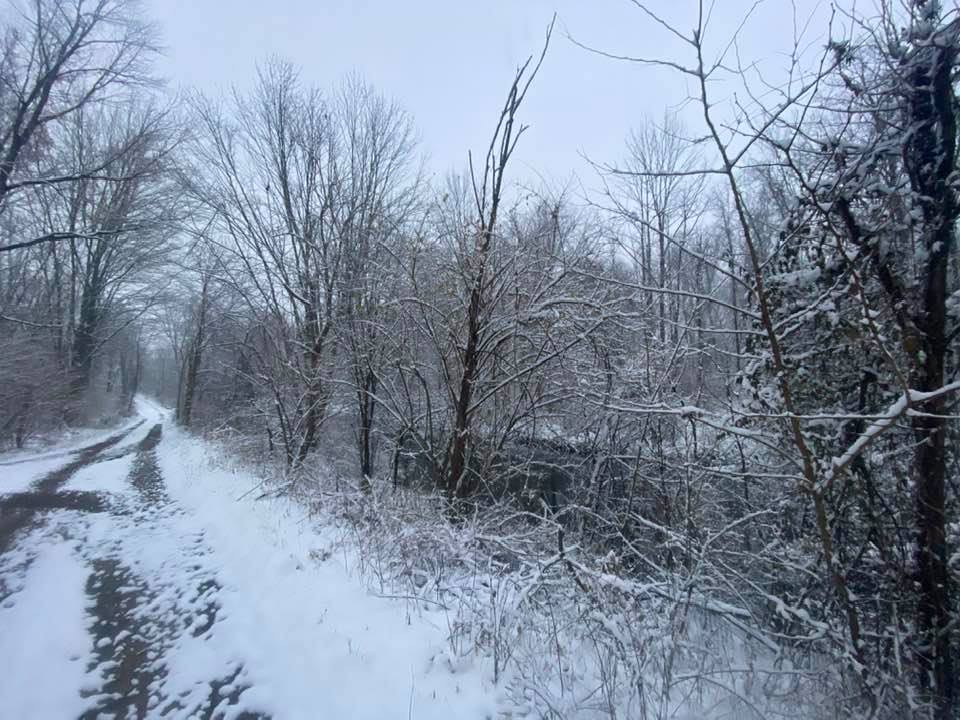 Trail in the snow