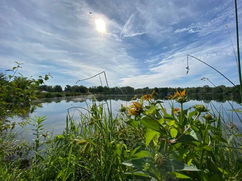 Looking across the lake through the flowers