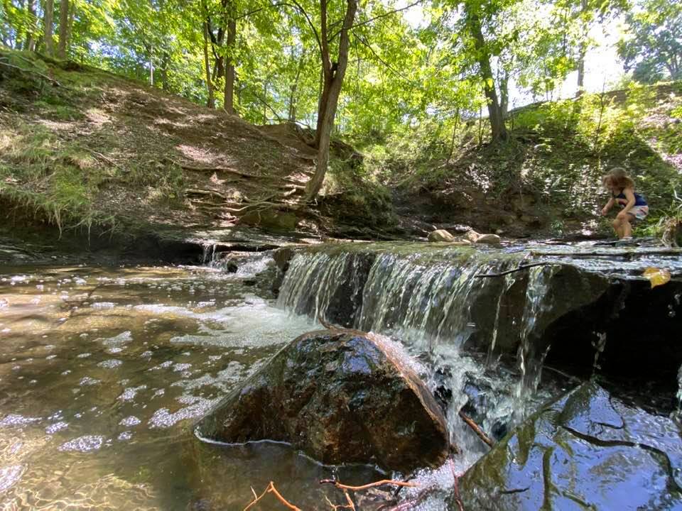 Small waterfall in the woods