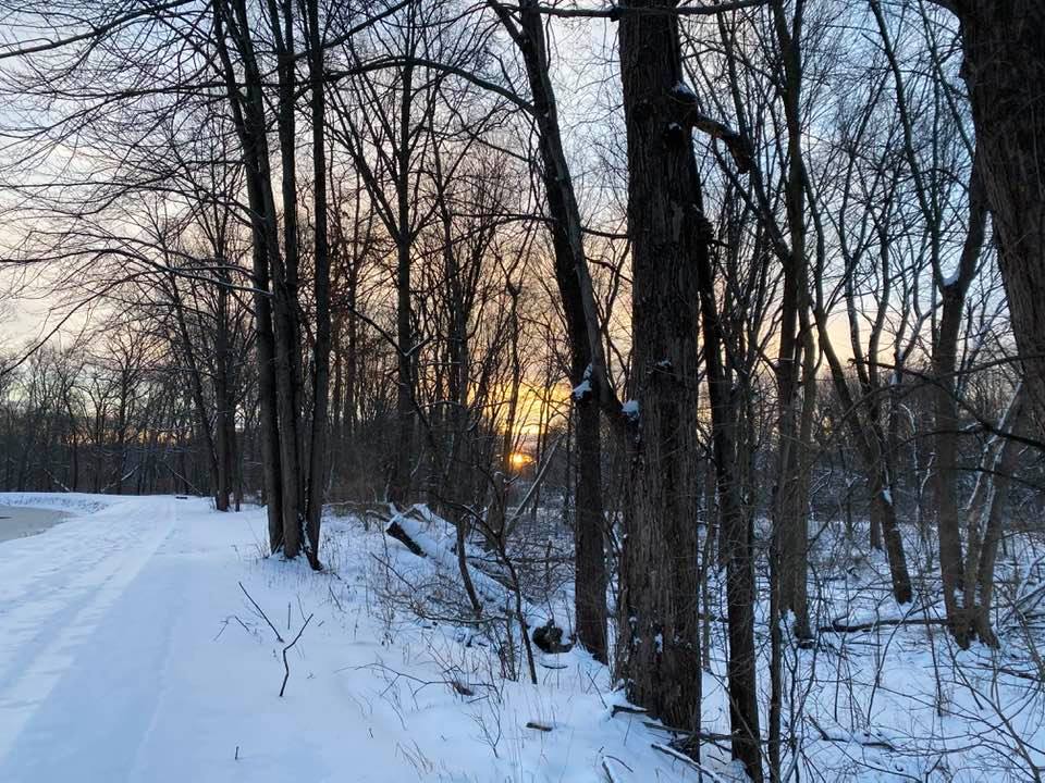 Sunrise through the trees on a winters morning