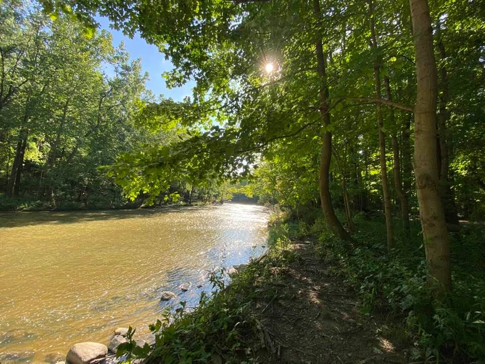 View up the river with sun shining through the trees