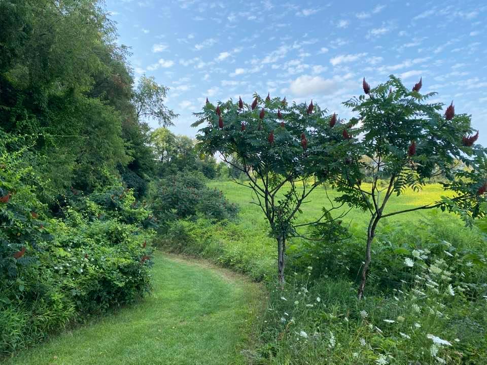 Country trail with interesting cloud formation