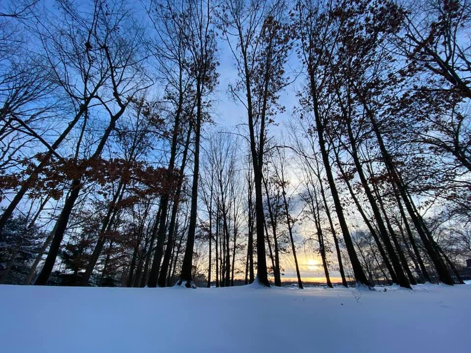 Wide angle photo of sunrise shining through the trees onto snow