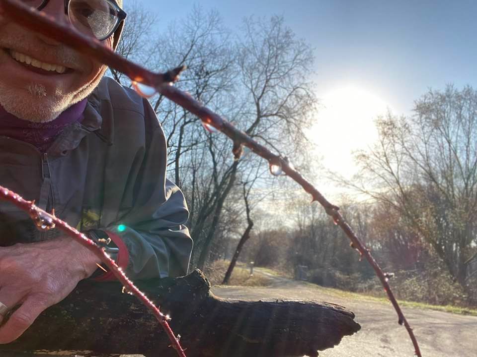 James with dew drops on a branch