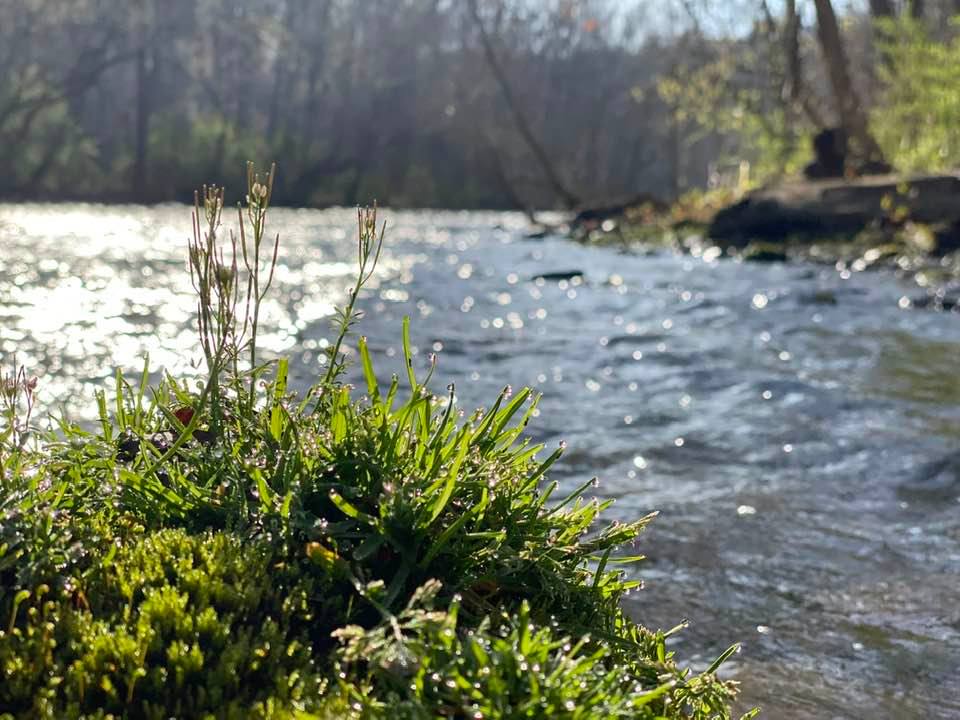 Grassy rock in foreground and river behind