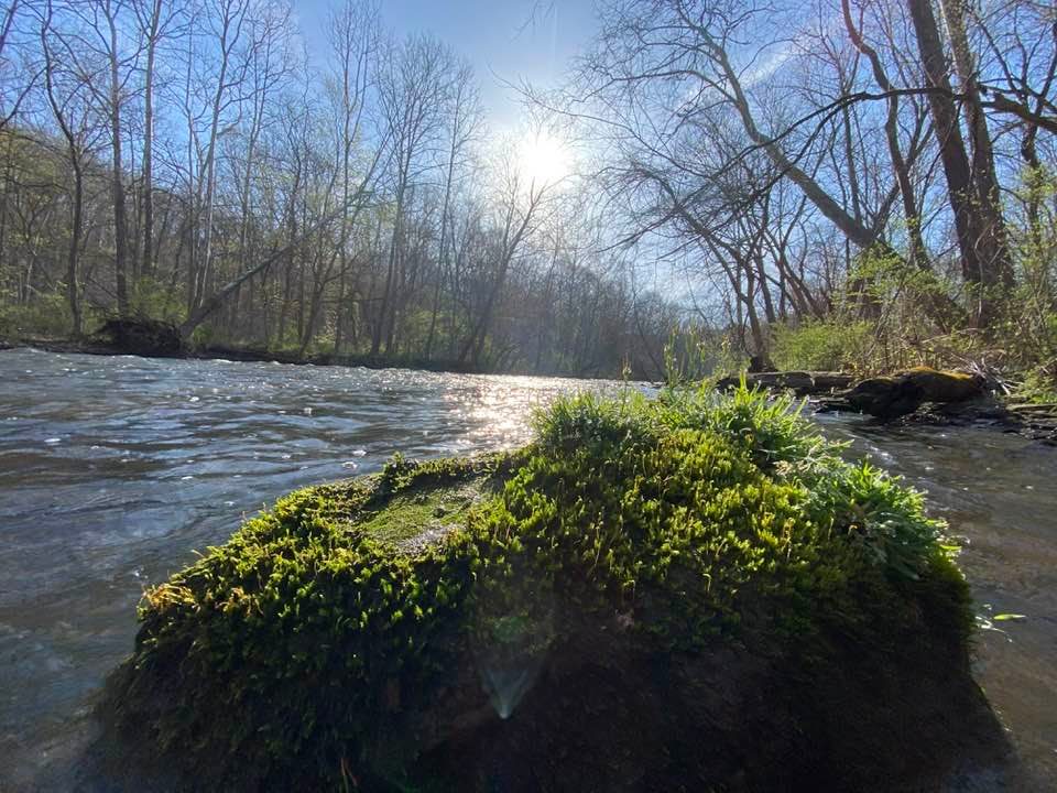 Sunrise over the river, mossy rock in the foreground