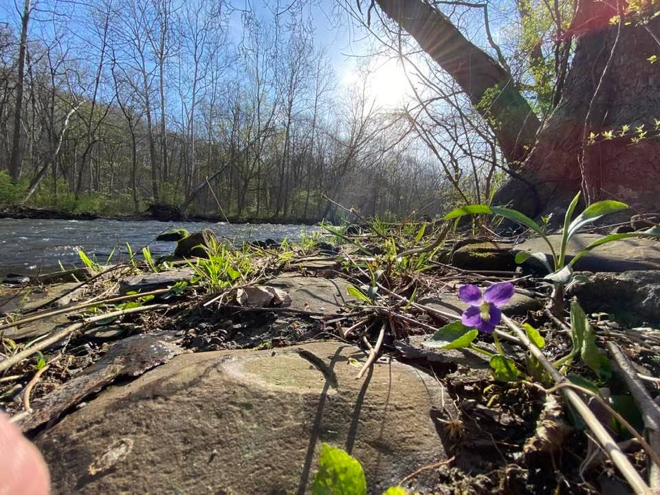 Riverside view