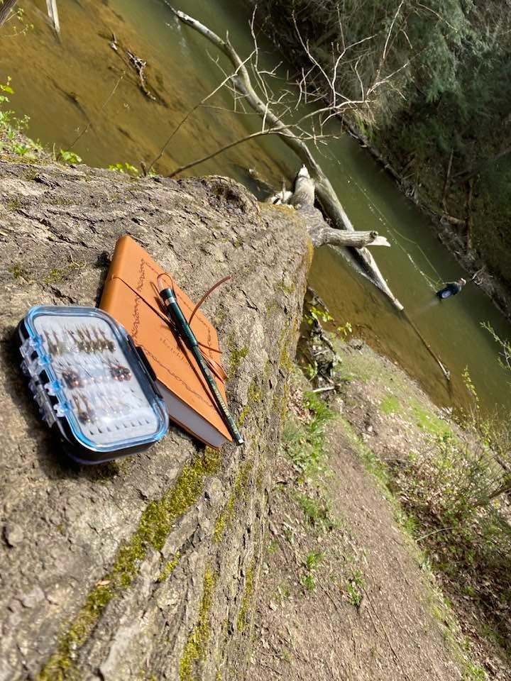 Fishing flies and notebook on fallen tree