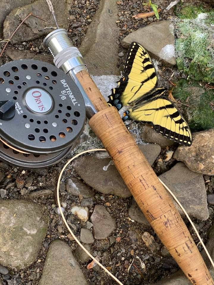 Swallowtail butterfly next to fishing rod on the ground