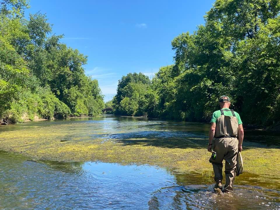 In the river fishing