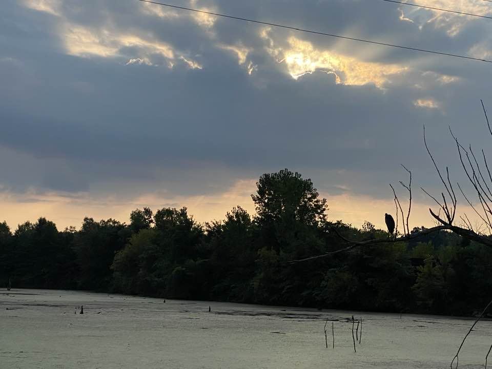 Looking across the lake at the sunrise