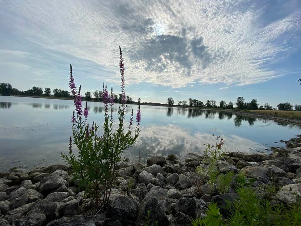 On the bank