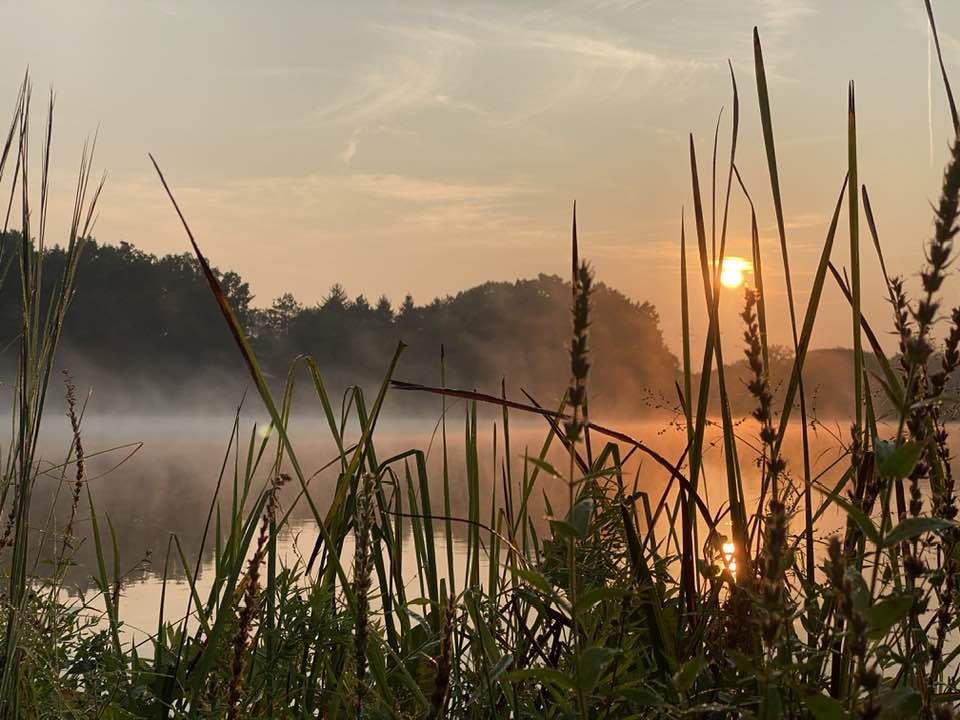 Sunset through the grass looking across the lake