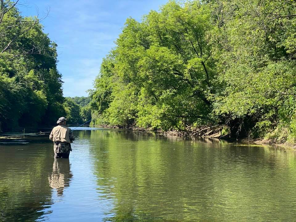 Fly fishing on the river