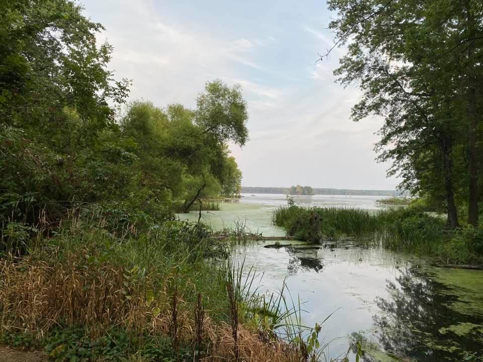 Looking up the stream to the lake