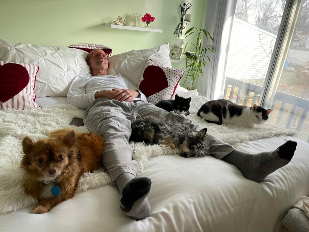 Opa Runs asleep on the bed surrounded by cats