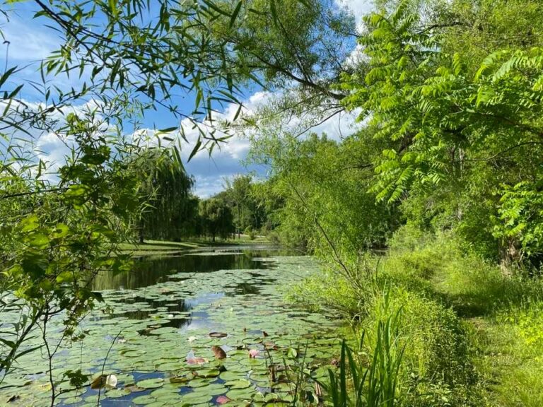 Looking across the pond