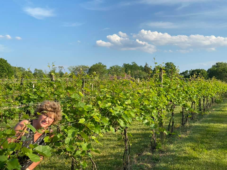 Sherry Carnahan amongst the vines