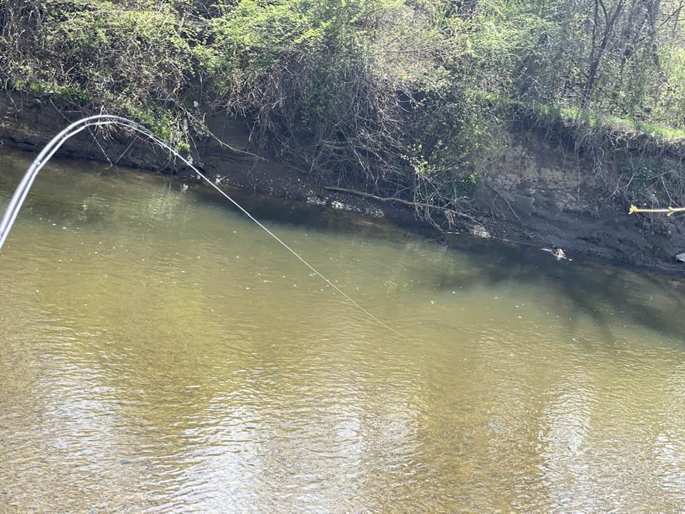 Fishing in the river
