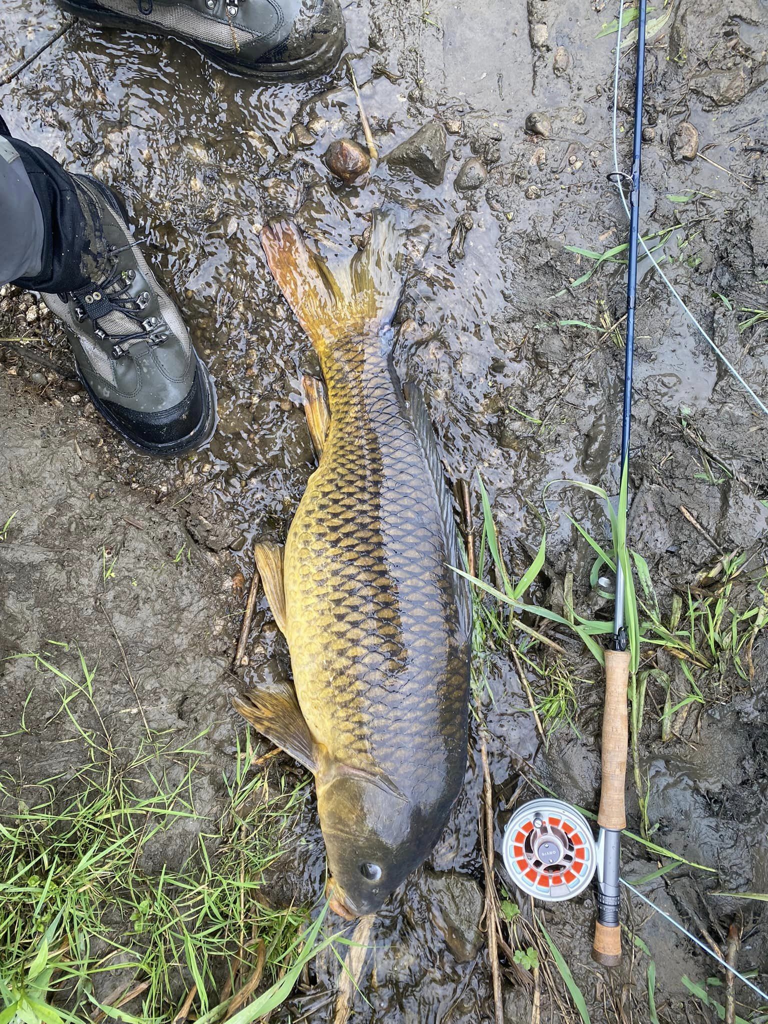 Catch of the day
