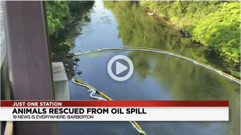 James Opa Runs was interviewed by channel 19’s Kelly Kennedy about the oil spill.