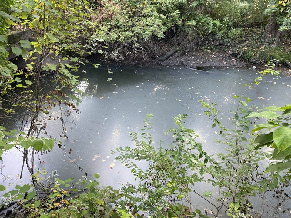 Oil sheen on river