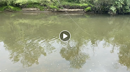 No fish were harmed in the making of this video