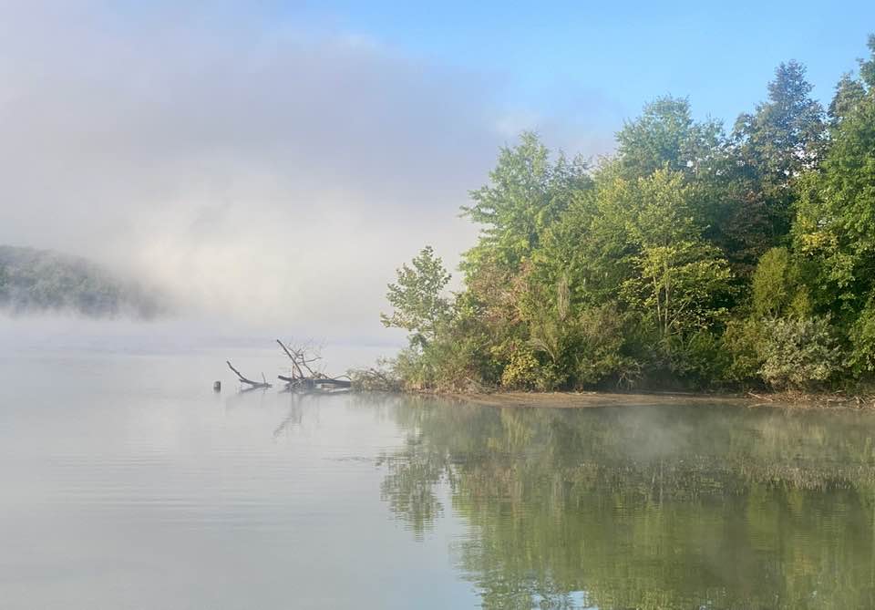 lake with bushes and mist