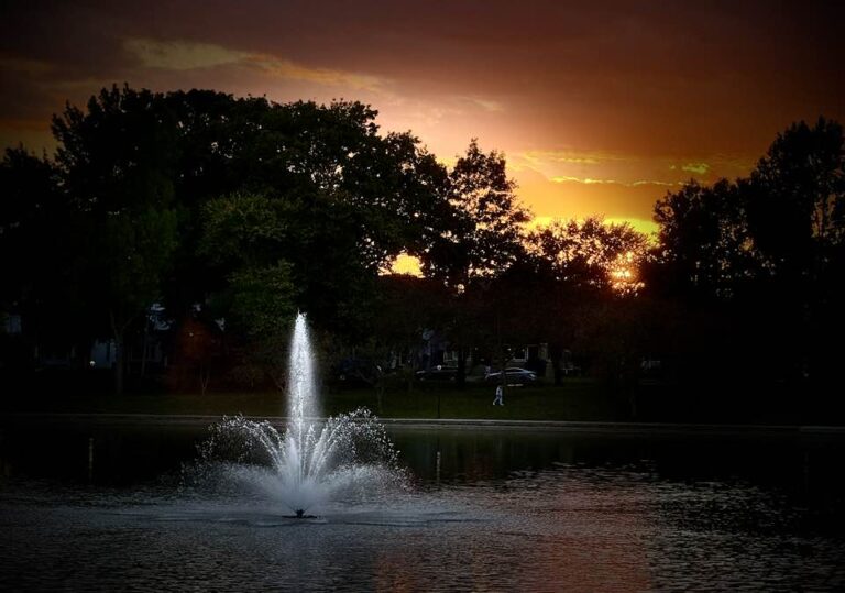 fountain with trees and sunset in the background