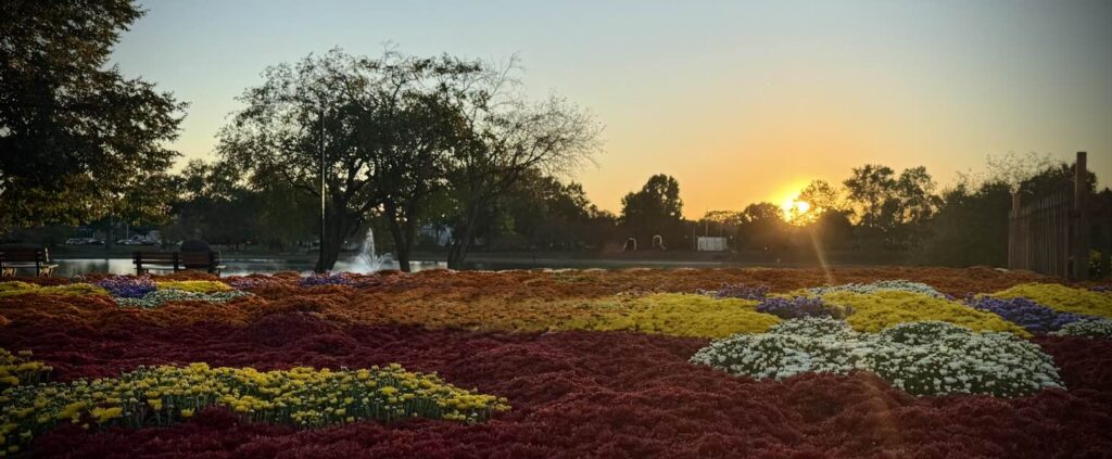 Lots of different color flower beds in a park